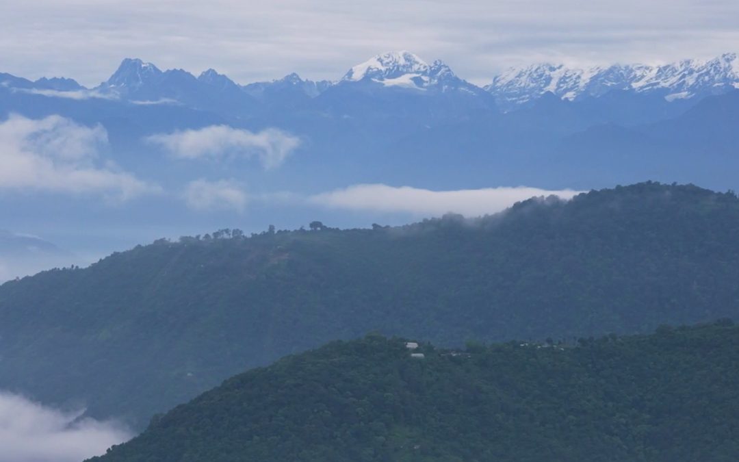 Indien: Sikkim sät 100% Bio