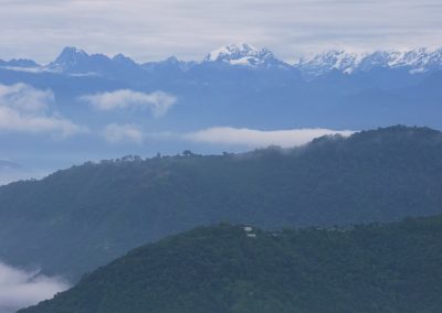 Indien: Sikkim sät 100% Bio